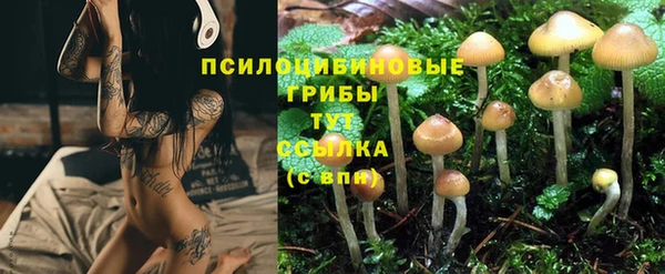 альфа пвп Елабуга