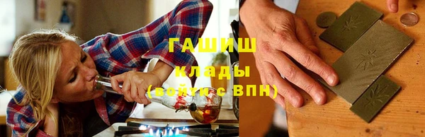 индика Ельня
